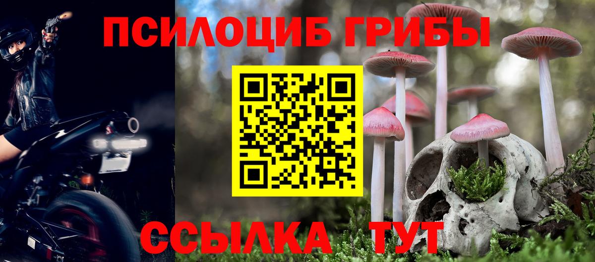 Псилоцибиновые грибы Psilocybe Похвистнево