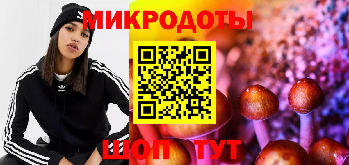Псилоцибиновые грибы GOLDEN TEACHER  цена   Похвистнево  Вход с VPN  Галлюциногенные грибы Psilocybe 
